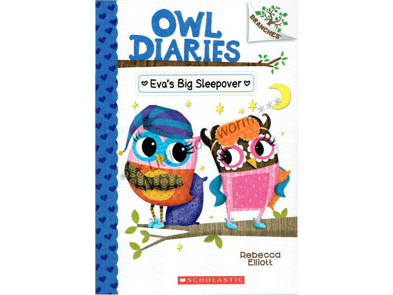 Owl Diaries #9: Eva's Big Sleepover